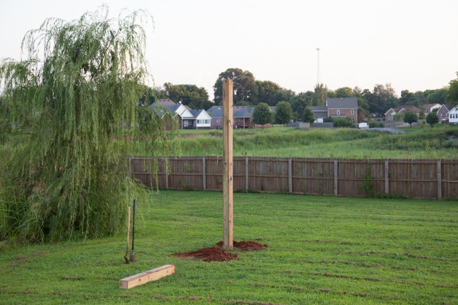 Picture It Photography-Treeless Treehouse-1133