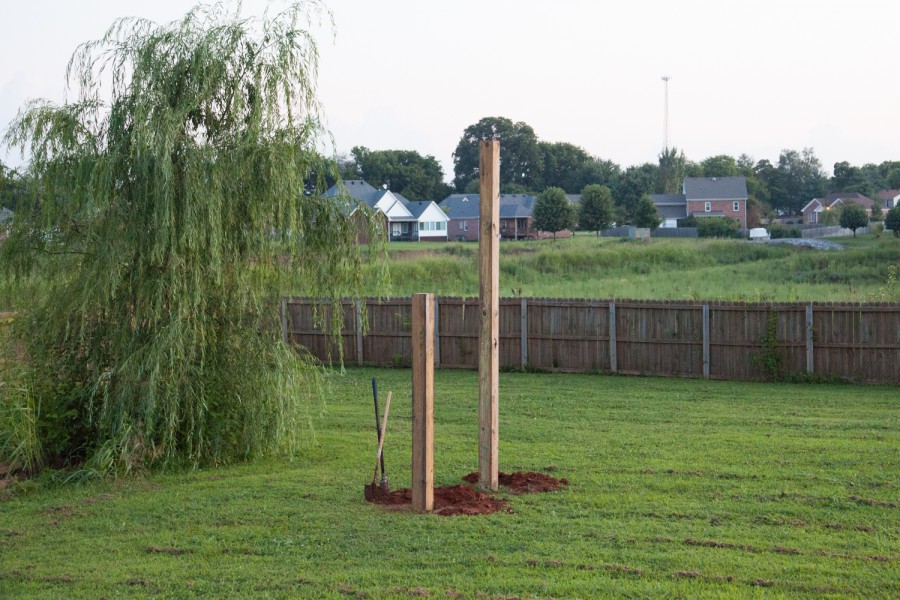 Picture It Photography-Treeless Treehouse-1136